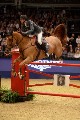 Cracker - 00540